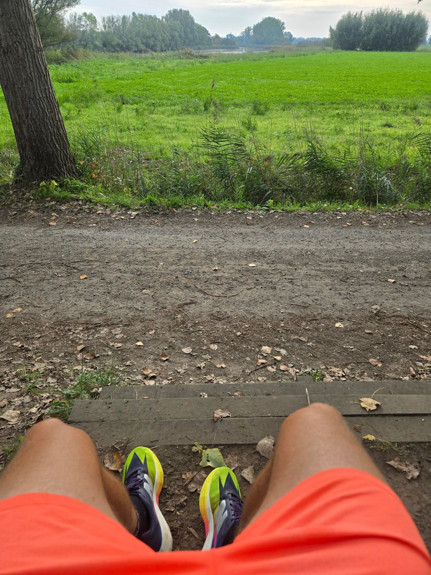 Het 'perfecte' 10 km hardloopschema: van uitlopen tot sub 40 en sub 30 (wat écht werkt en de valkuilen)