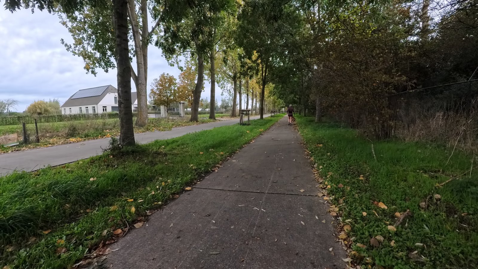 Nog 5 dagen tot de marathon: mijn laatste tempotraining en hoe ik mijn taperweek aanpak