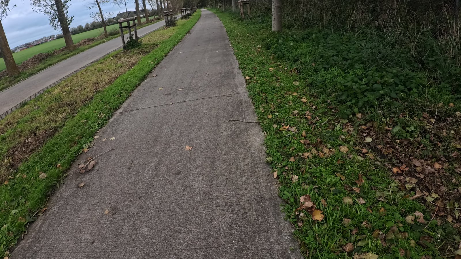 fartlektraining baan